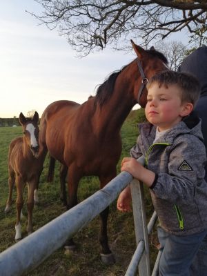 I'm enjoying helping on the farm!